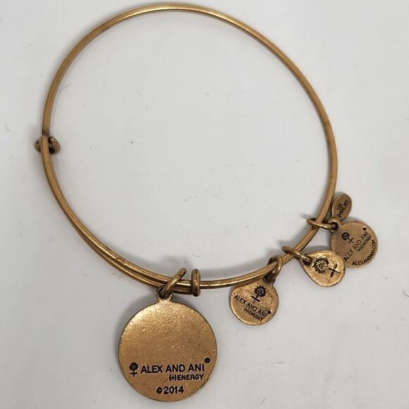 ALEX and ANI Georgia Gold Tone Bangle Bracelet - Picture 6 of 6